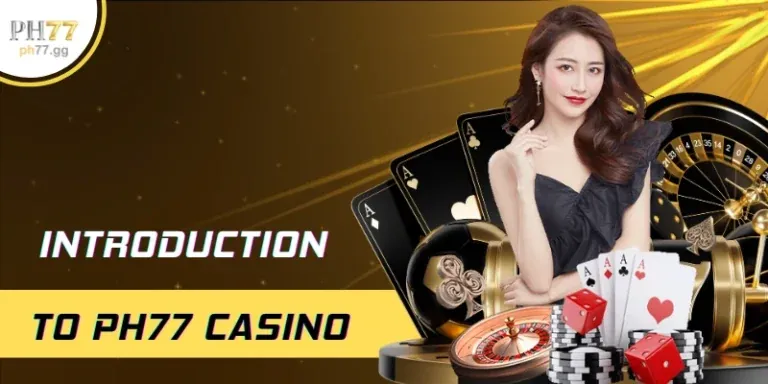 Hướng Dẫn Cơ Bản 33win01 Casino